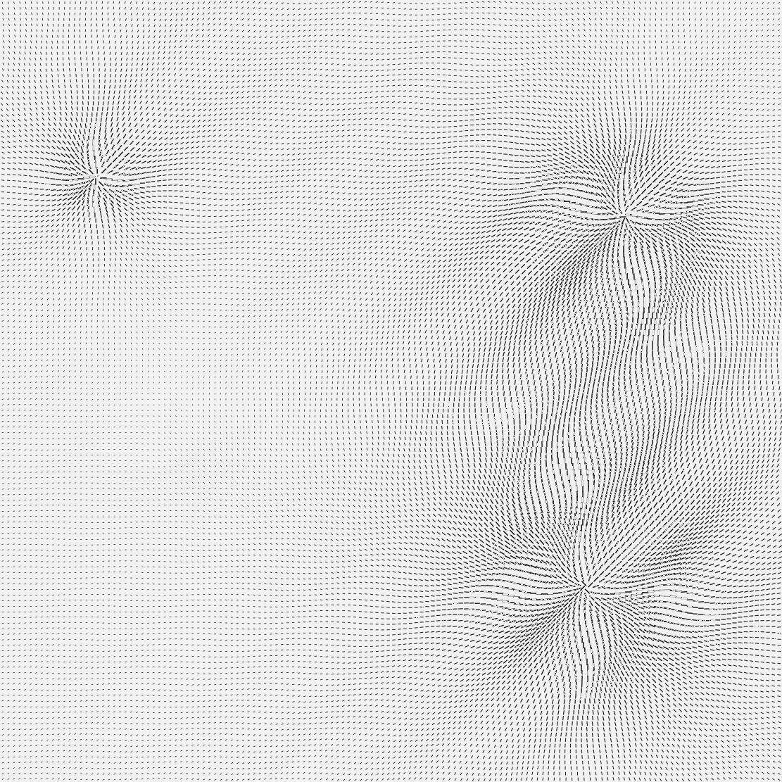 The same field of dashes, apparently
identical, perhaps a shade lighter. The same three centres, the same curved
streams, the same calm left side.