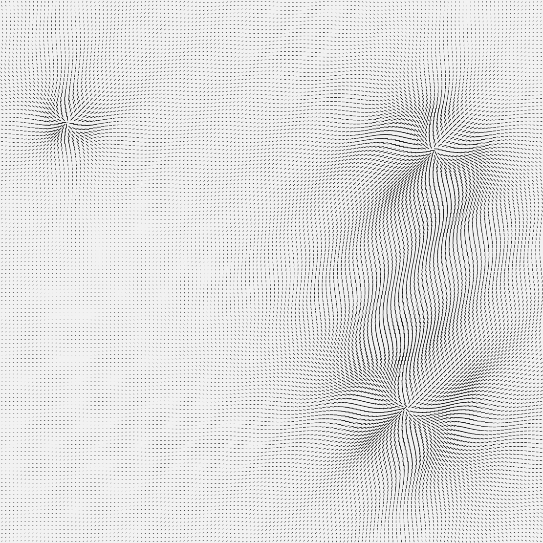 A square field densely covered with thousands of small
black dashes, each angled so that together they flow in smooth curved streams
around three centres, like iron filings around magnets. The left third is calmer
and evenly combed; the right side crowds and swirls.
