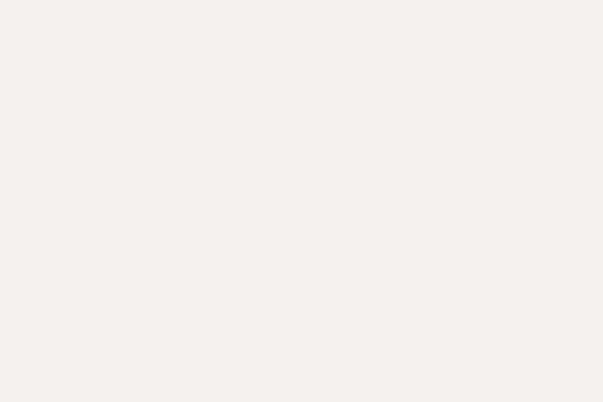 An empty pale rectangle. Nothing is drawn on it.