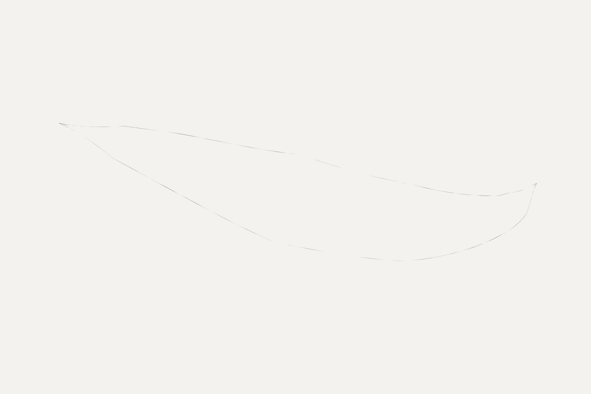 An almost empty pale rectangle carrying the faintest possible outline of a long leaf shape, barely separable from the background.