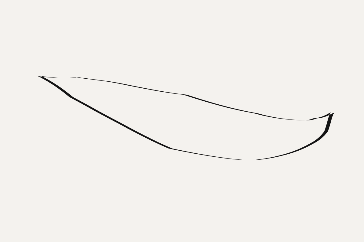 A hairline black outline of a long leaf shape, open at the left, thickening very slightly at the right tip.