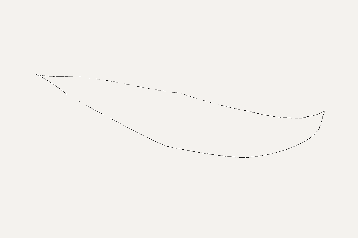 The same ghost with every non-background pixel painted black, showing a thin closed outline of the leaf shape.