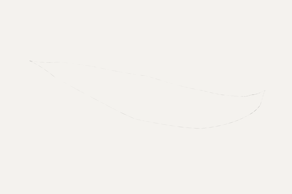 An almost empty pale rectangle with a very faint broken outline of a long leaf shape on it.