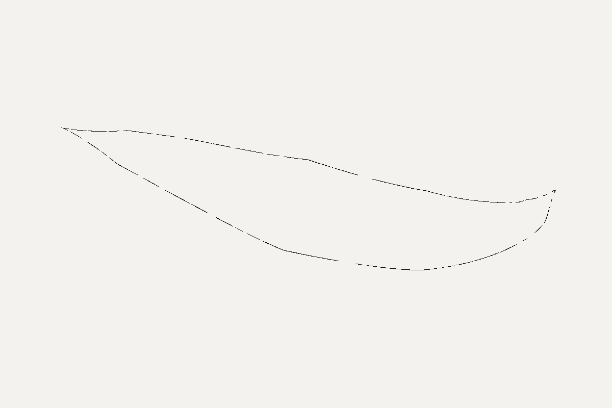 The same ghost with every non-background pixel painted black, showing a thin closed outline of the leaf shape.