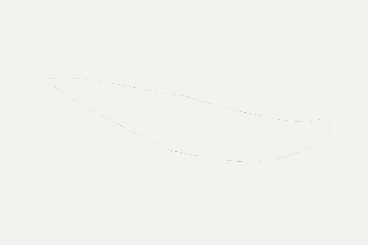 An almost empty pale rectangle with a very faint, finely wavering outline of a long leaf shape.
