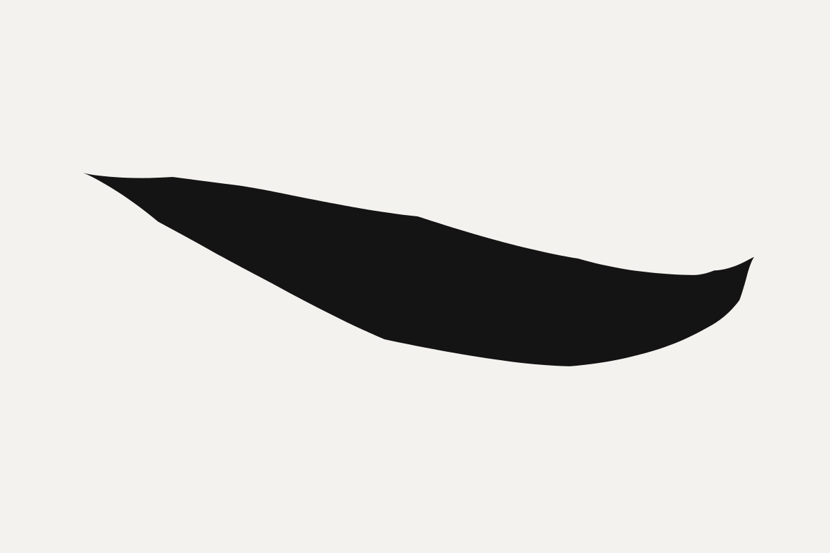 A single black mark like a
long leaf or a blade lying across the upper left of a pale field. It begins
thin, swells through its middle, and tapers away to the right without reaching
the edge of the picture.