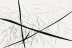 the same drawing rendered at 72 pixels wide