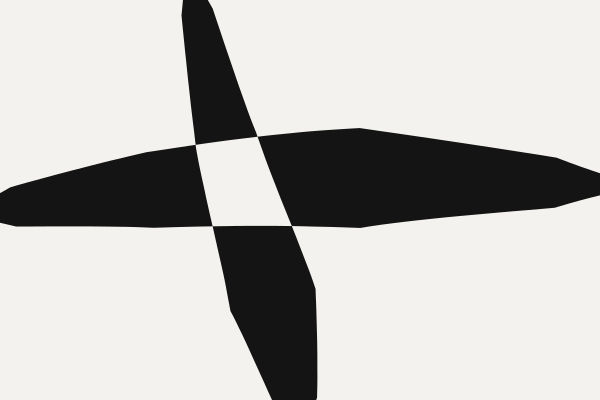 The same two marks, with a single pale four-sided patch where they cross.