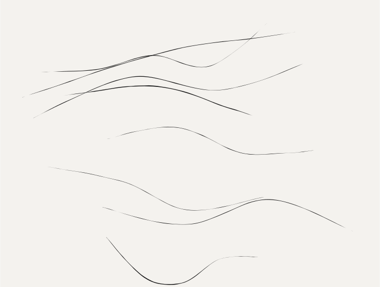 Eight thin curved lines of varying darkness drifting
across the frame in roughly the same direction, overlapping loosely.