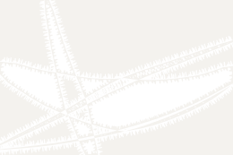 no way to white, as a hole
